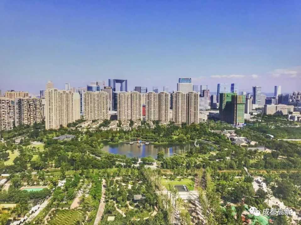 今麦郎V5上市，抢滩功能饮料市场